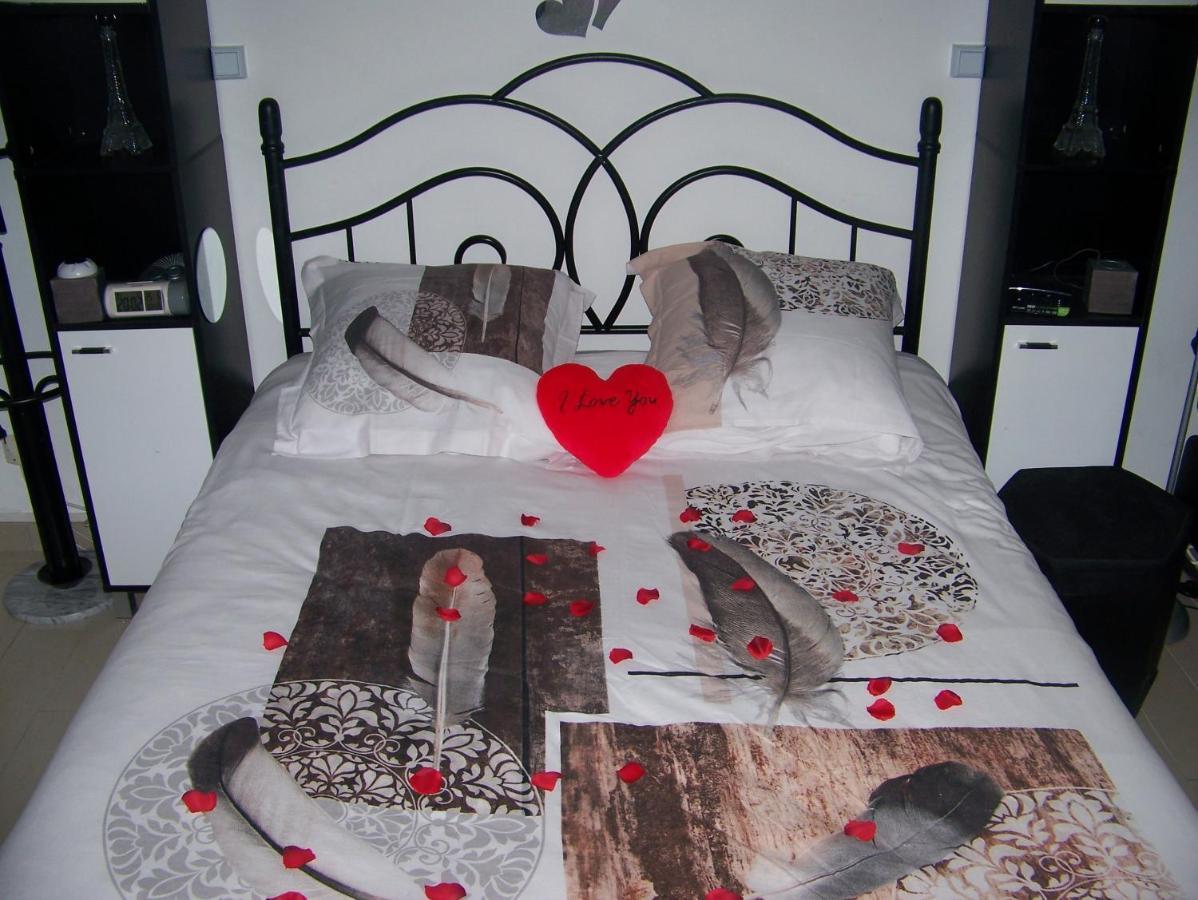 Charmant Studio Au Calme Tout Confort Dans Chateau Neo Gothique Proche Zenith Comet Orleans Parking Voiture Gratuit Wifi Haut Debit Rue Des Montees Екстер'єр фото