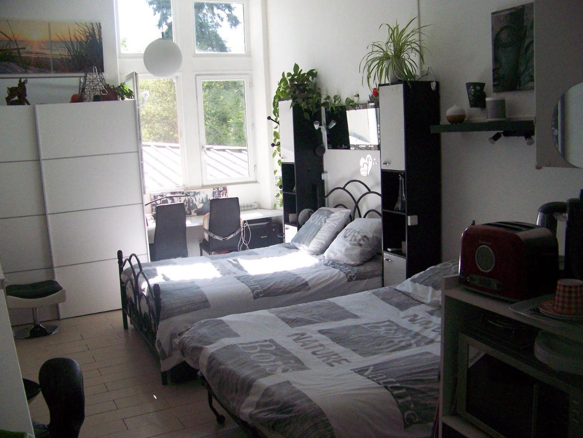 Charmant Studio Au Calme Tout Confort Dans Chateau Neo Gothique Proche Zenith Comet Orleans Parking Voiture Gratuit Wifi Haut Debit Rue Des Montees Екстер'єр фото