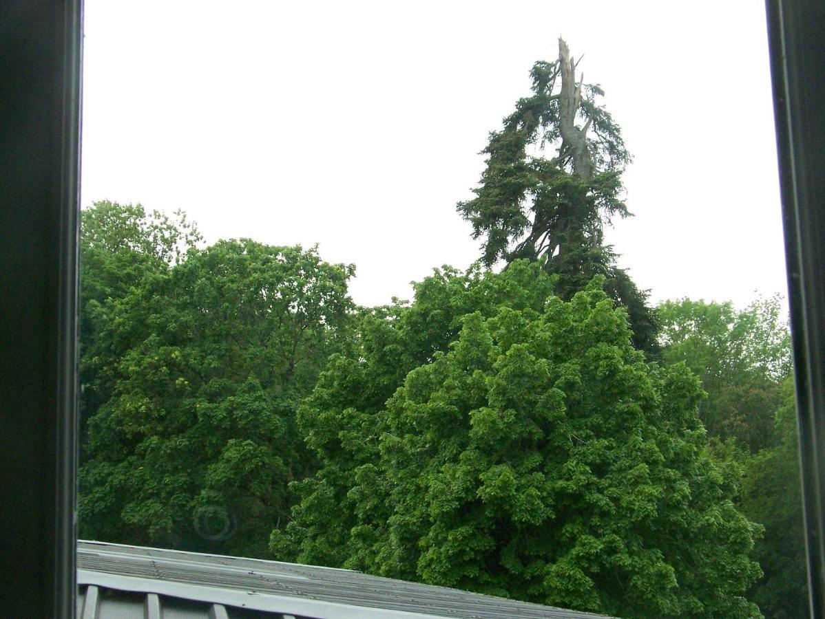 Charmant Studio Au Calme Tout Confort Dans Chateau Neo Gothique Proche Zenith Comet Orleans Parking Voiture Gratuit Wifi Haut Debit Rue Des Montees Екстер'єр фото
